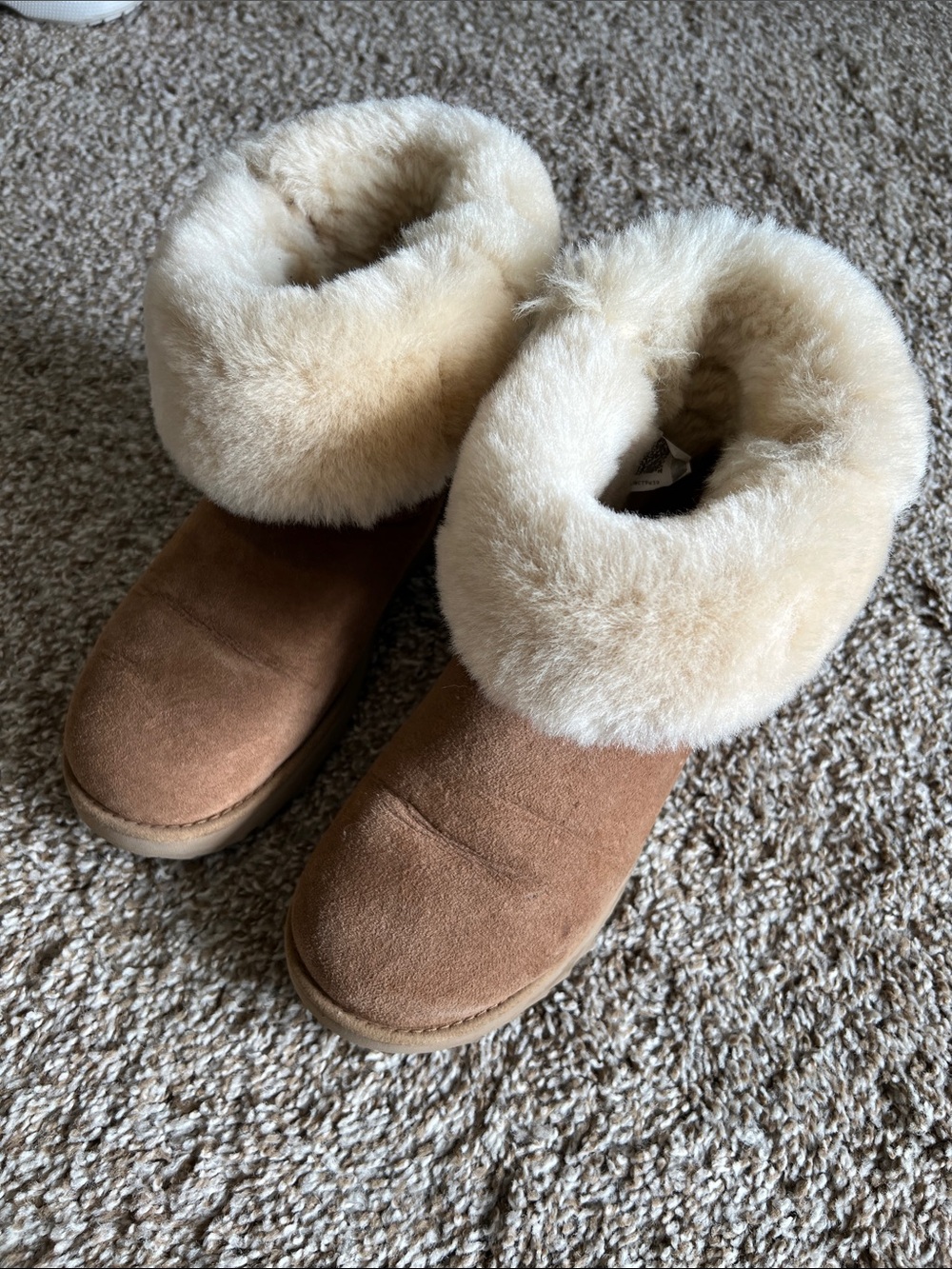 UGG Women’s Cozy Shearling-Lined Suede Booties in Chestnut
